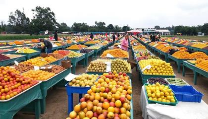 農(nóng)副產(chǎn)品集市 連接田園與餐桌的綠色橋梁